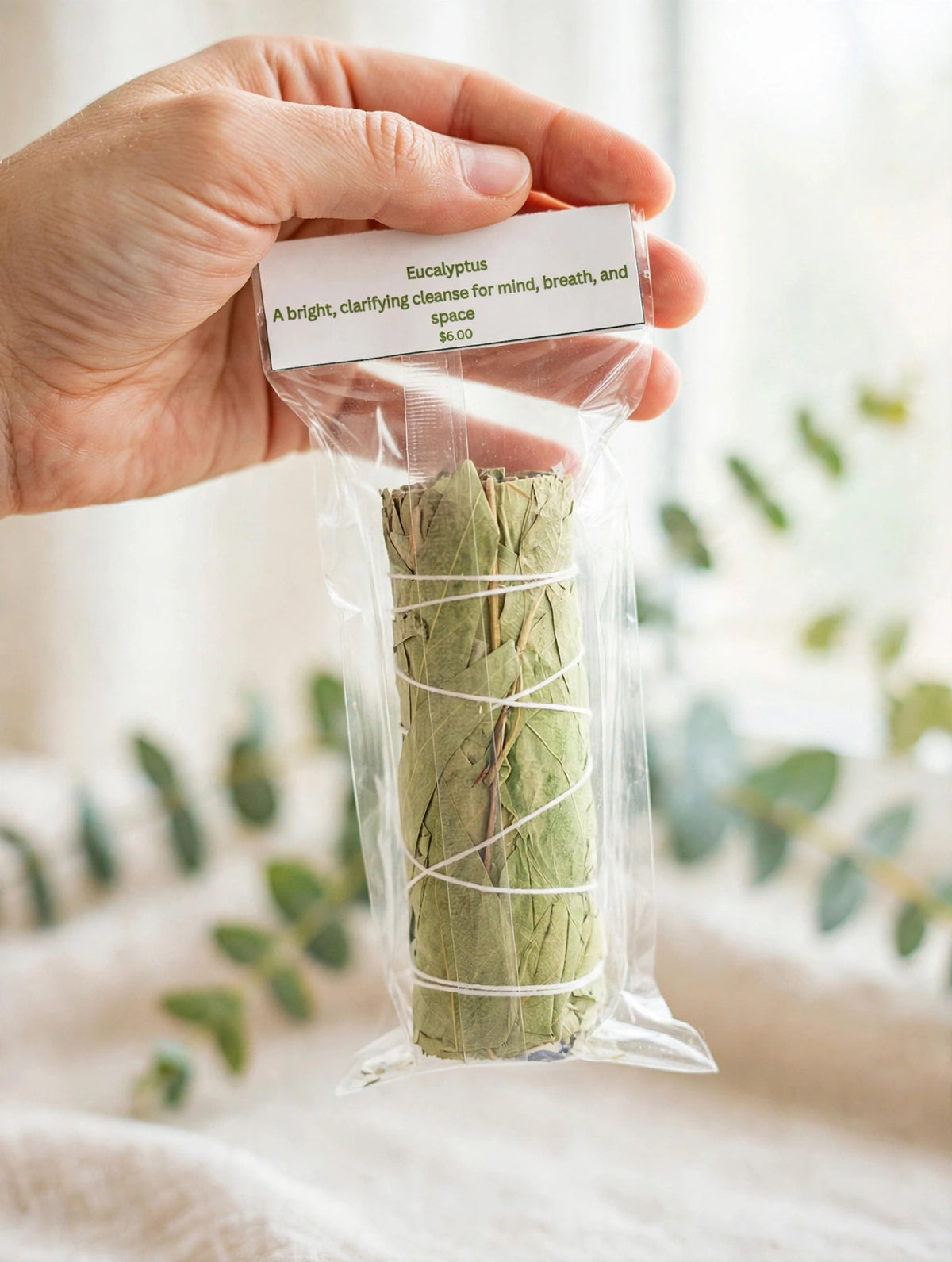 Eucalyptus